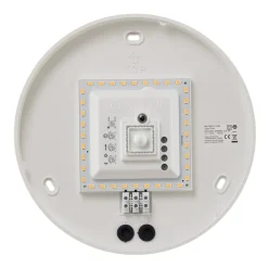 STEINEL RS PRO P1 S LED-loftlampe, sensor, 3.000 K