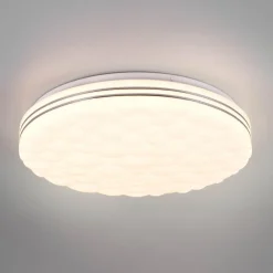 Tiger LED-loftlampe RGB CCT starlight-effekt^Reality Leuchten Sale