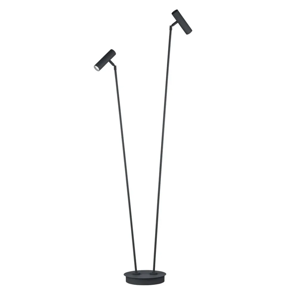Tom Pro LED-gulvlampe, sort, 2 lyskilder, CCT, dæmper^HELL Sale