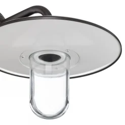 Moretti Luce Udendørs væglampe Golfo bruneret messing glas klar