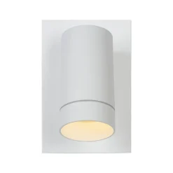 Udendørs vægspot Taylor Sensor, 1 lyskilde hvid^Lucide Online