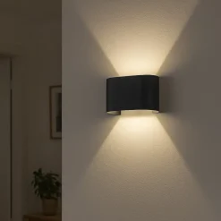 FISCHER & HONSEL Wall LED-væglampe, 2 lyskilder, rund, sort