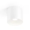 Wever & Ducré Lighting Loftlamper>WEVER & DUCRÉ Ray PAR16 loftlampe hvid