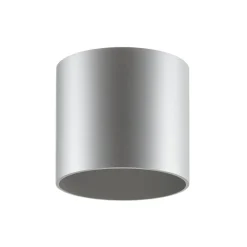Wever & Ducré Lighting WEVER & DUCRÉ Ray PAR16 loftlampe i aluminium