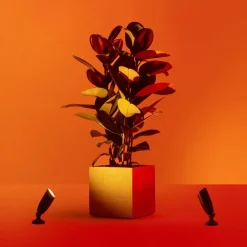 WiZ Udendørs Spot>LED-spot Ground udvidelse, enkeltpakke