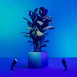 WiZ Udendørs Spot><noscript><img width=