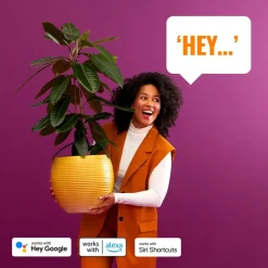 WiZ Udendørs Spot><noscript><img width=