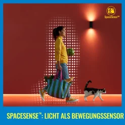 WiZ ST64 LED-filamentpære WiFi E27 6,3 W RGBW